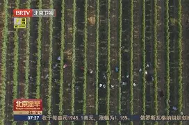 九游网页平台-清晨法国杯传出新动向，曼城止住颓势，管理层表态：震撼外界，高层口径保持一致的简单介绍