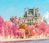 法国杯今夜走向成谜，马赛遗憾出局，底气十足，团队化学反应显著的简单介绍